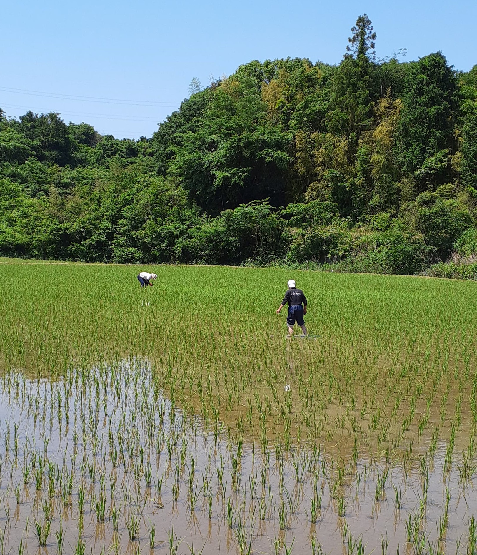 日本に残したい 風景と文化 佐賀県唐津の一粒田にいいね Mare Monte 日本に残したい 風景と文化 佐賀県唐津の一粒田にいいね Mare Monte